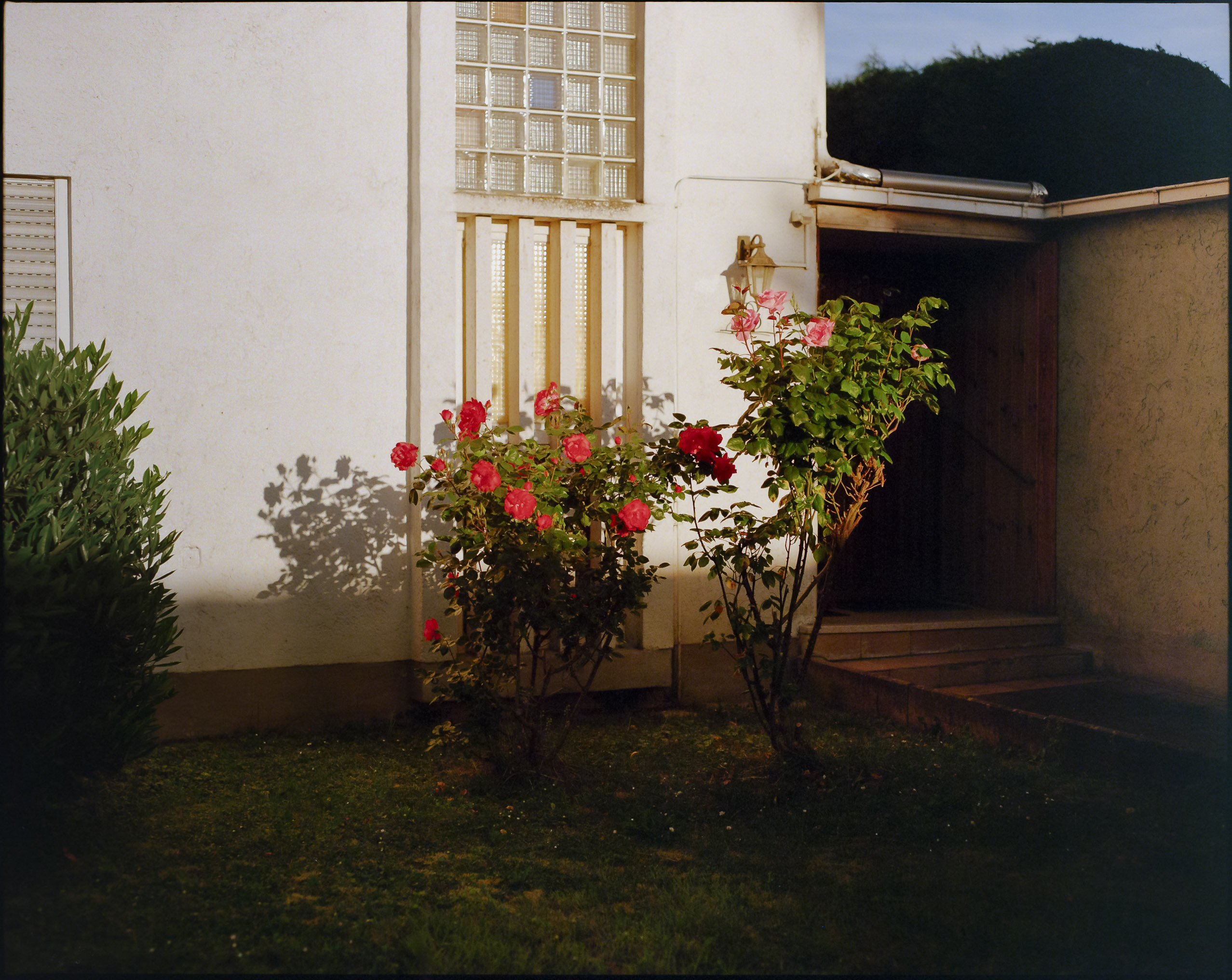 Large format and medium format photography by Tobias Leipnitz in Ingolstadt. Shot on Arca Swiss F-Metric and Pentax 67. Kodak Portra 160 and Kodak Portra 400.  tobias leipnitz_Ingolstadt medium format camera pentax67 large format arca swiss 15