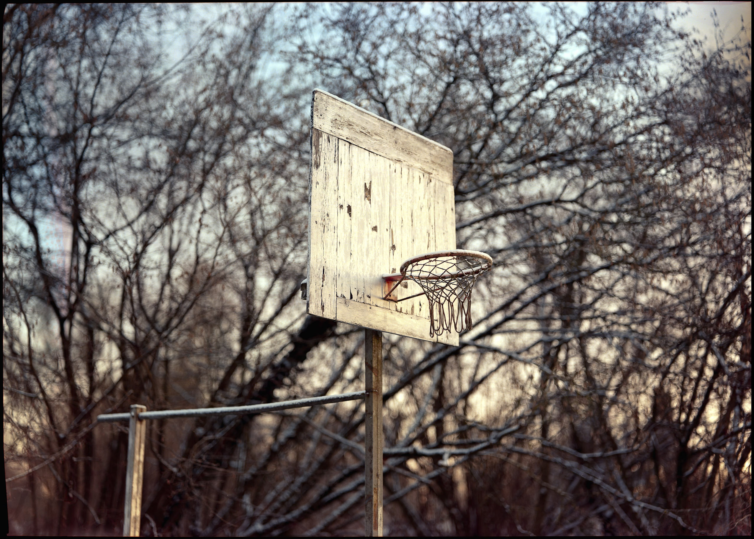 Large format photograph by Tobias Leipnitz – tobias leipnitz large format camera Linhof 5x7 5