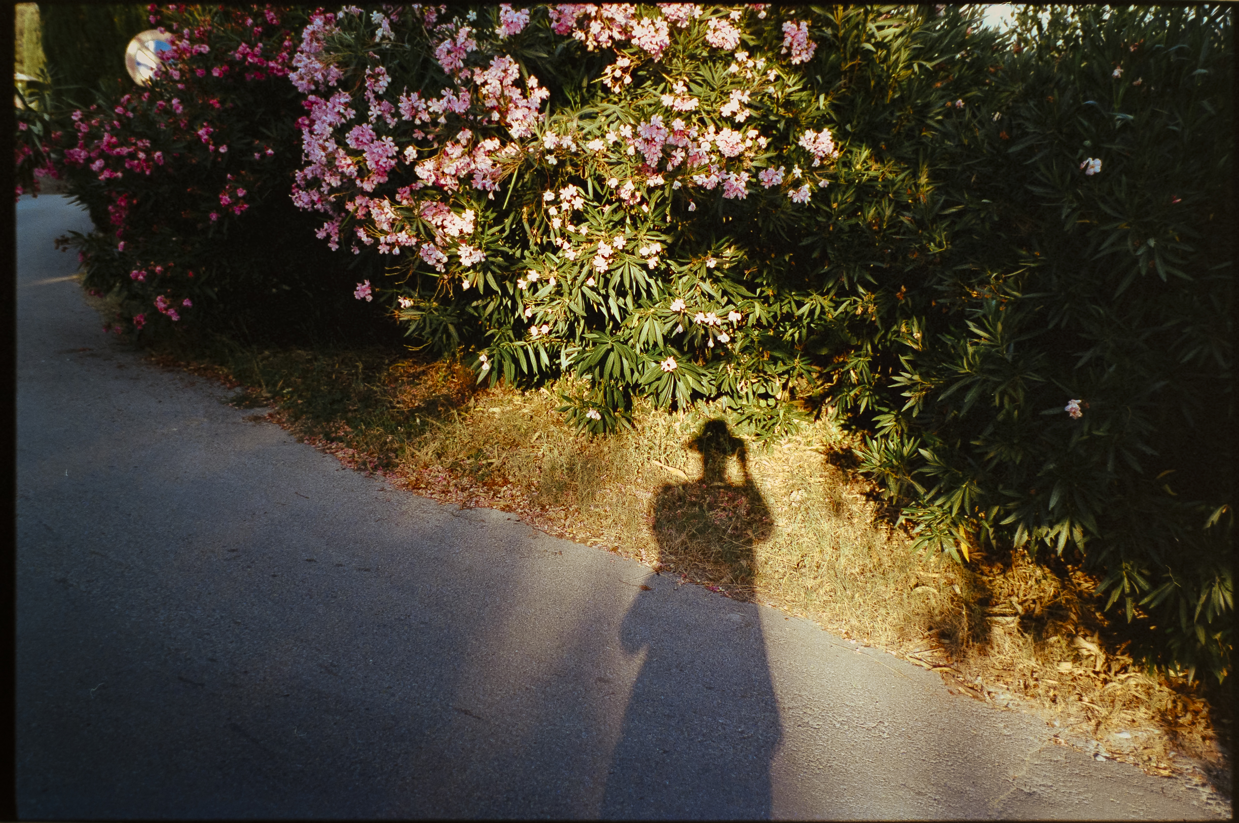 35mm colour film photography - shot with a Leica M6 on Kodak Portra  Tobias Leipnitz LeicaM6 Photography 12