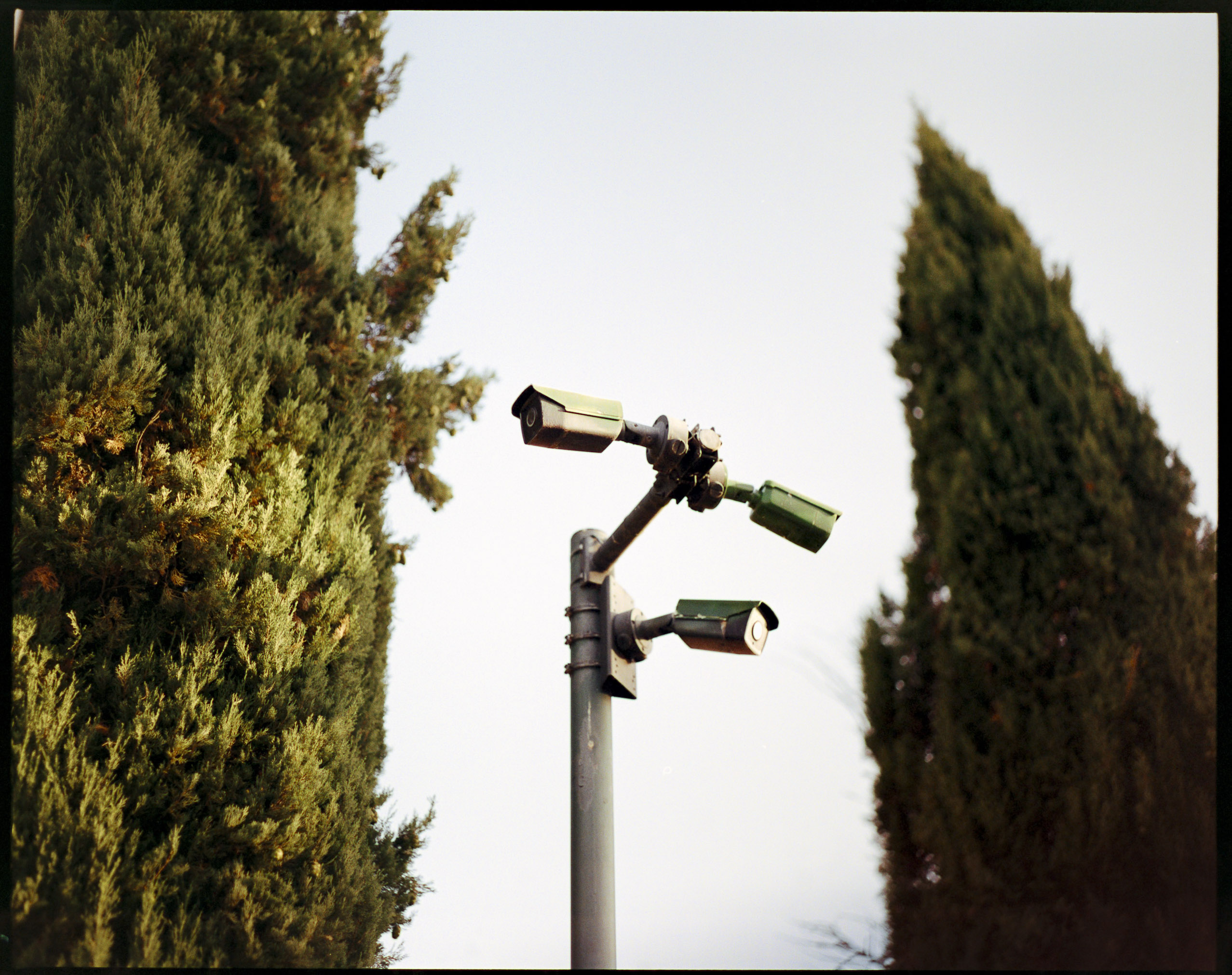 6x7 medium format photograph by Tobias Leipnitz shot on Kodak Portra 400 in Siena. Shot on a Pentax 67 medium format camera.  tobias leipnitz_Siena Italy medium format camera pentax67 12