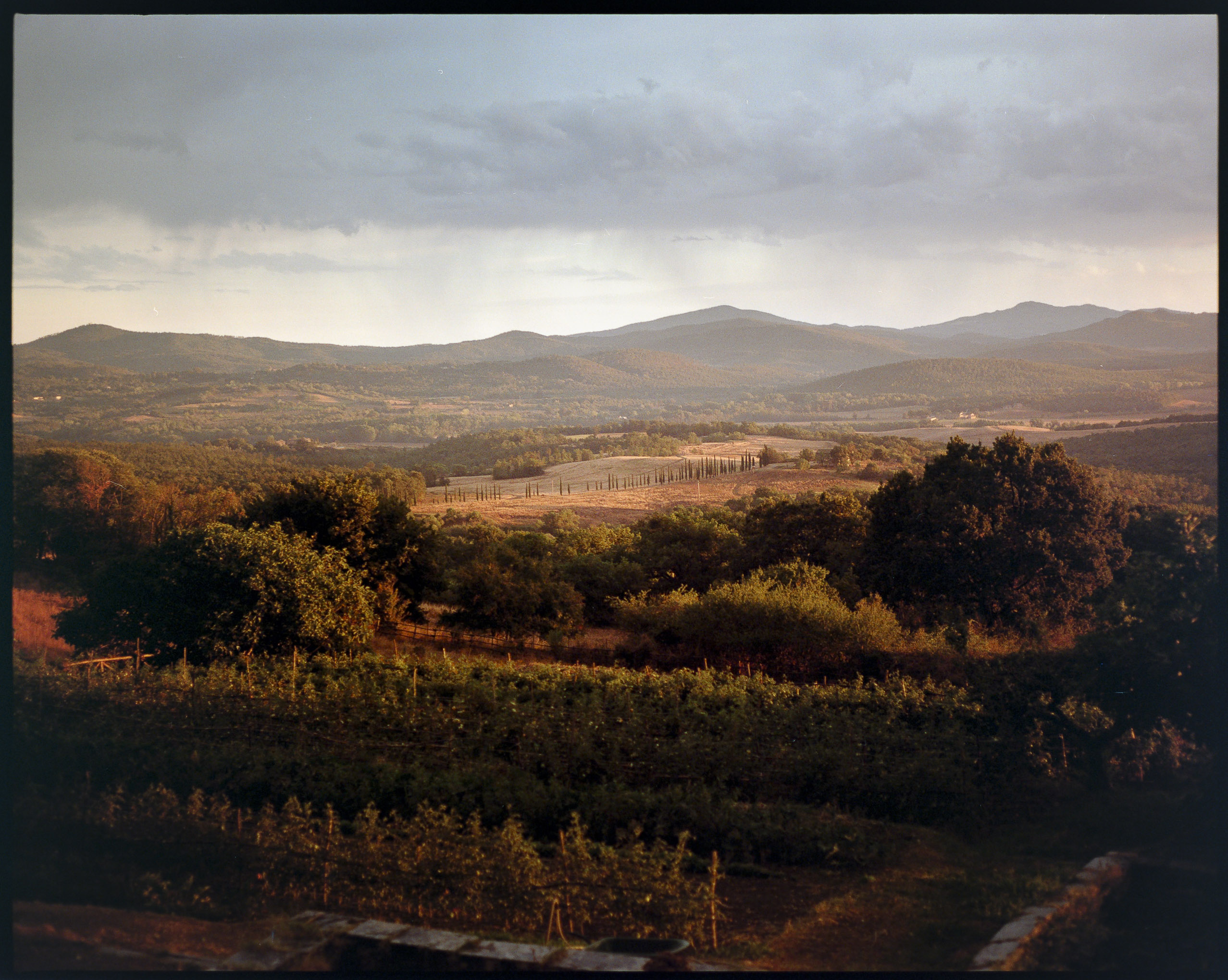 6x7 medium format photograph by Tobias Leipnitz shot on Kodak Portra 400 in Siena. Shot on a Pentax 67 medium format camera.  tobias leipnitz_Siena Italy medium format camera pentax67 14