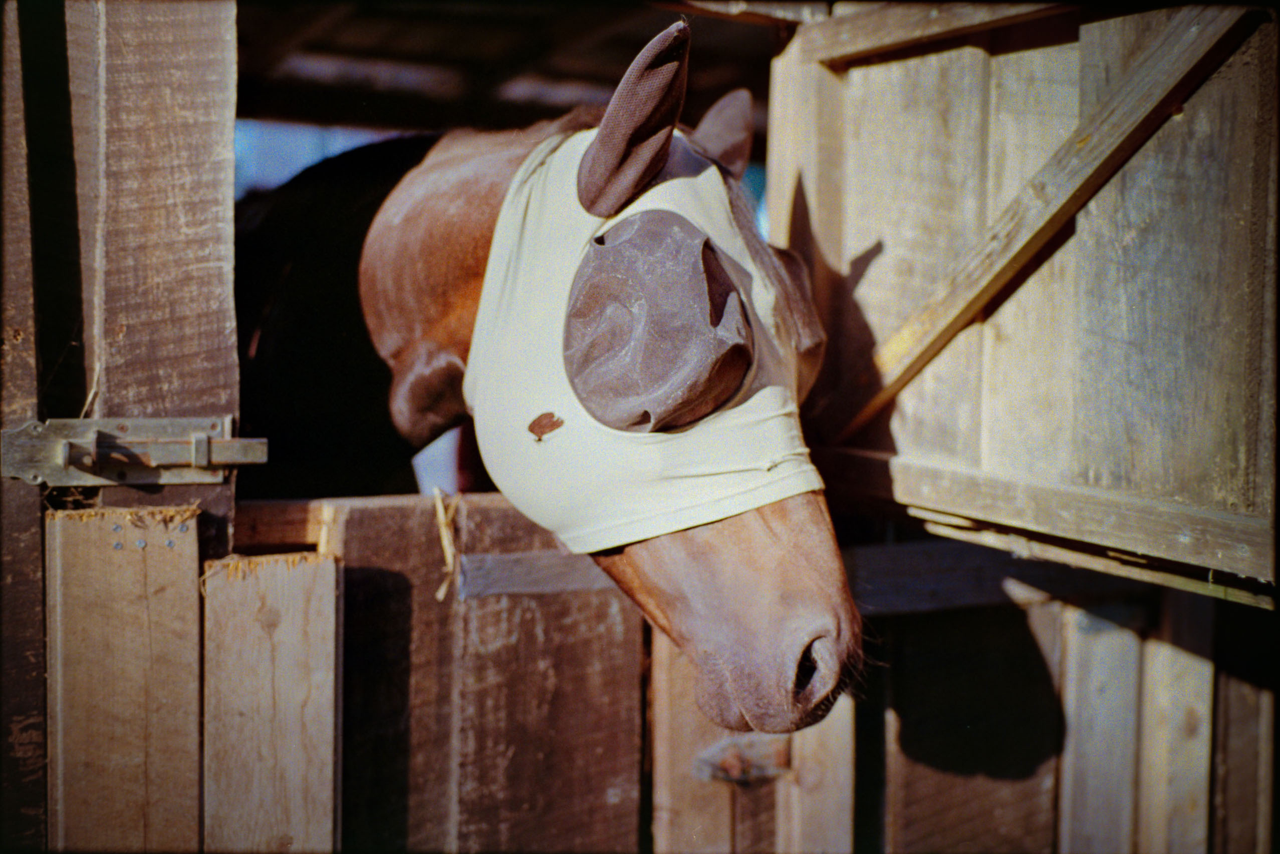 Analog photography diary – personal observations and collected moments by Tobias Leipnitz. Shot on large and medium formt. Leica - Hasselblad - Linhof - Arca Swiss. LeicaM6 Kodak Leipnitz 