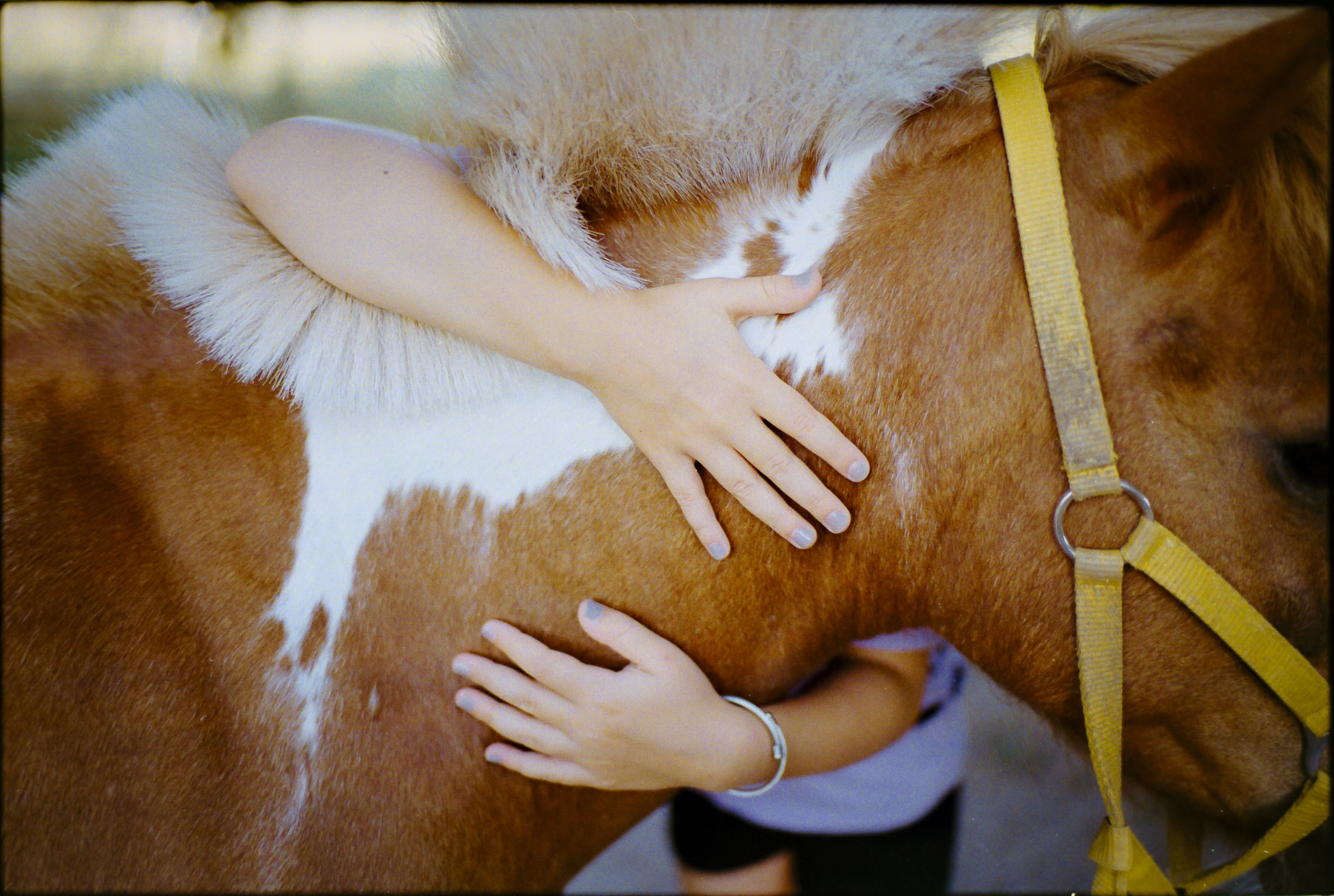 Analog photography diary – personal observations and collected moments by Tobias Leipnitz. Shot on large and medium formt. Leica - Hasselblad - Linhof - Arca Swiss. Tobias Leipnitz LeicaM6 Photography 1