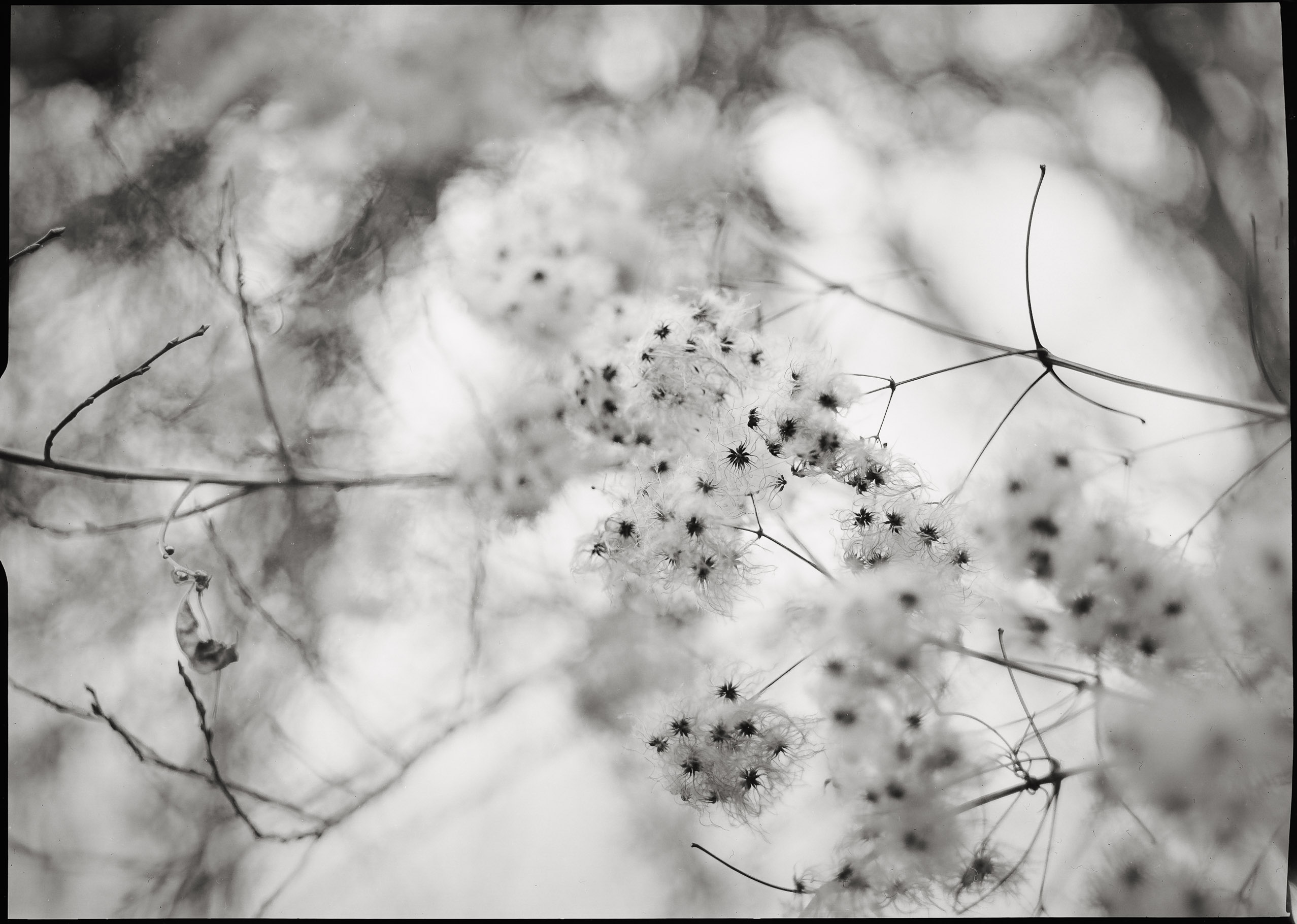 Analog photography diary – personal observations and collected moments by Tobias Leipnitz. Shot on large and medium formt. Leica - Hasselblad - Linhof - Arca Swiss. diary 1 7
