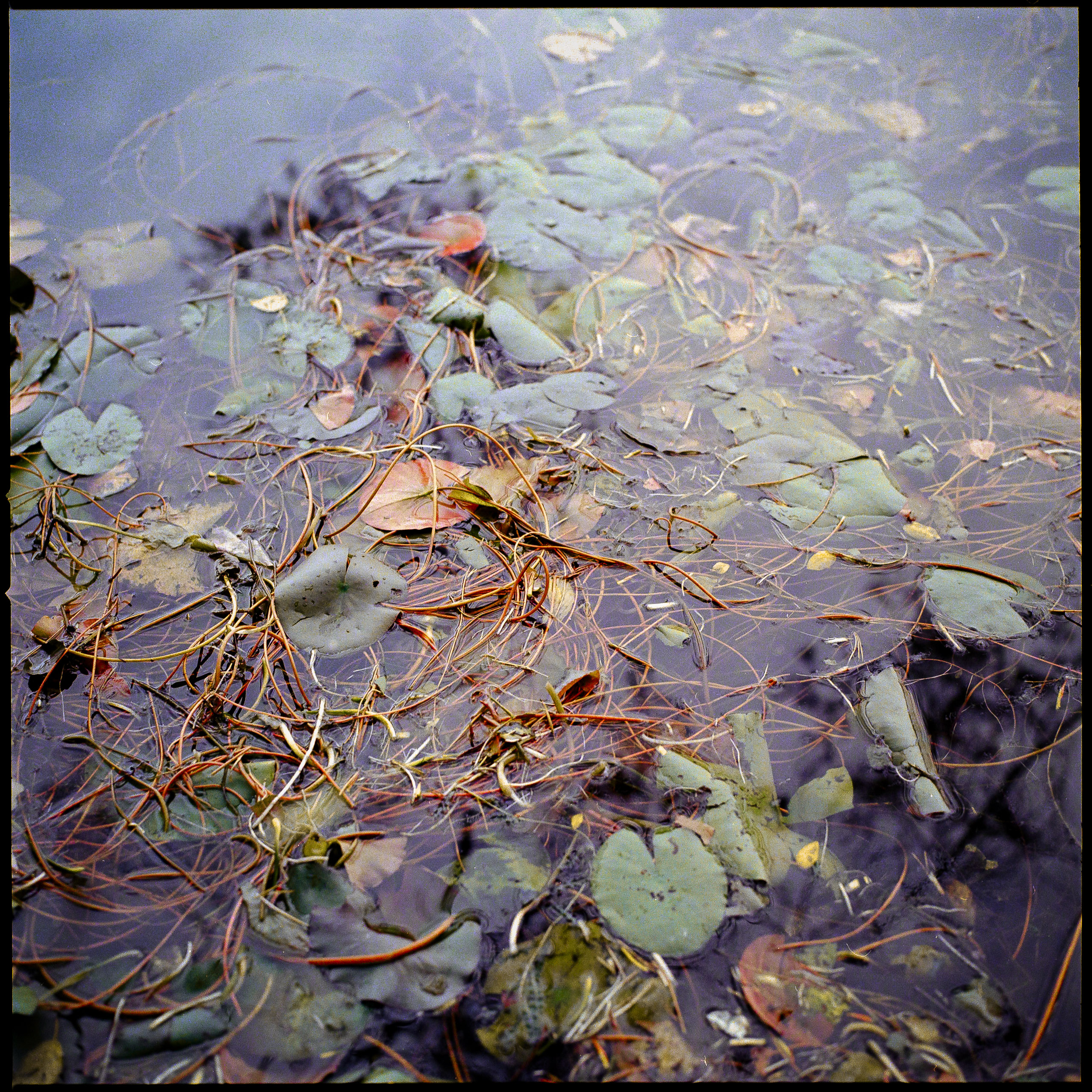 Medium format photography by Tobias Leipnitz –  Kodak Portra 160 and Kodak Portra 400 - Hasselblad 500cmtobias leipnitz hasselblad medium format camera 6x6 17