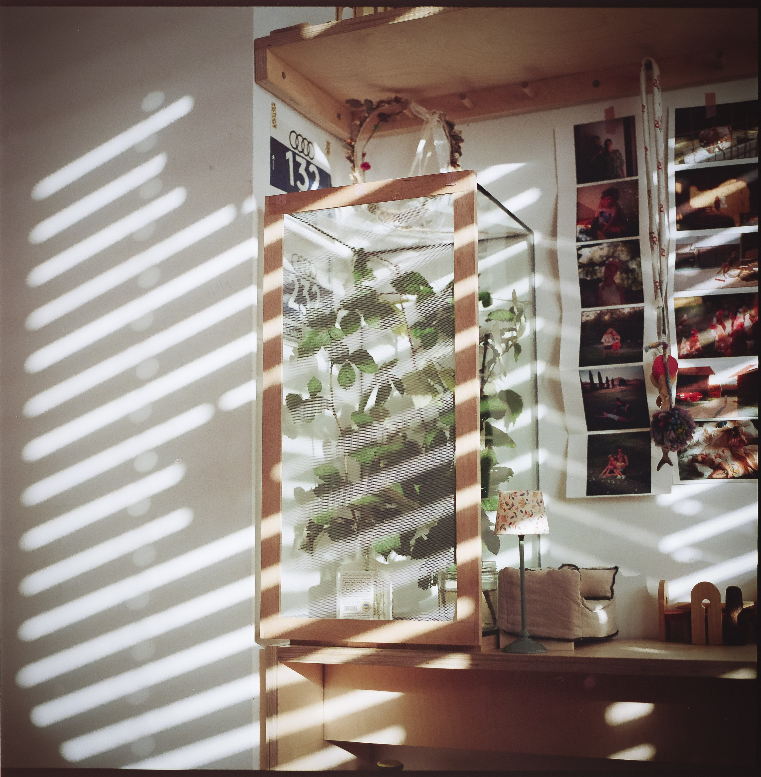 Medium format photography by Tobias Leipnitz –  Kodak Portra 160 and Kodak Portra 400 - Hasselblad 500cmtobias leipnitz hasselblad medium format camera 6x6 38