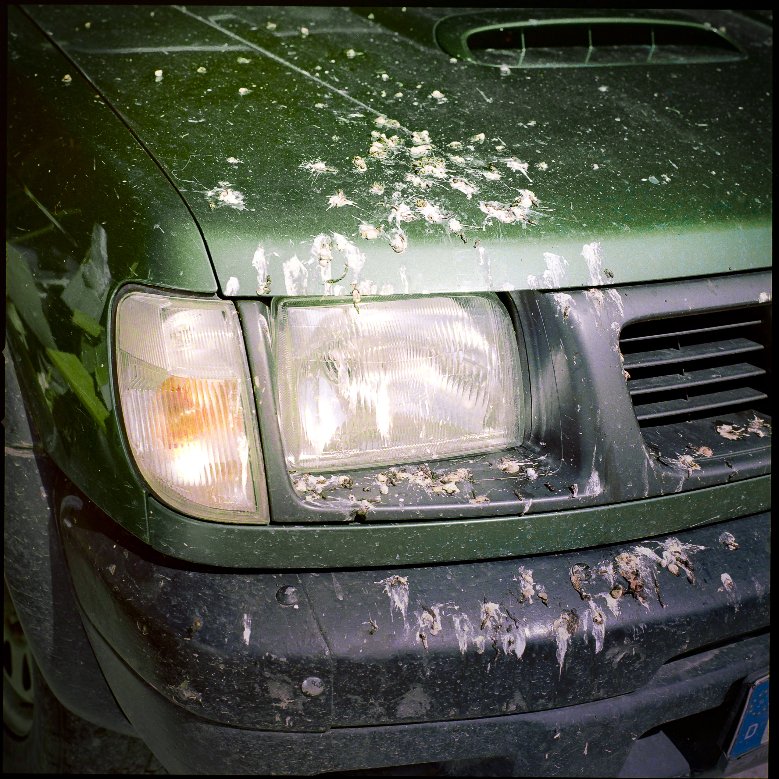 Medium format photography by Tobias Leipnitz –  Kodak Portra 160 and Kodak Portra 400 - Hasselblad 500cmtobias leipnitz hasselblad medium format camera 6x6 8